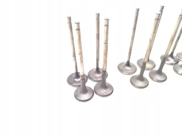 Klep Toyota RAV4 2.5 Hybride AWD 16 PCS 2023 image 10