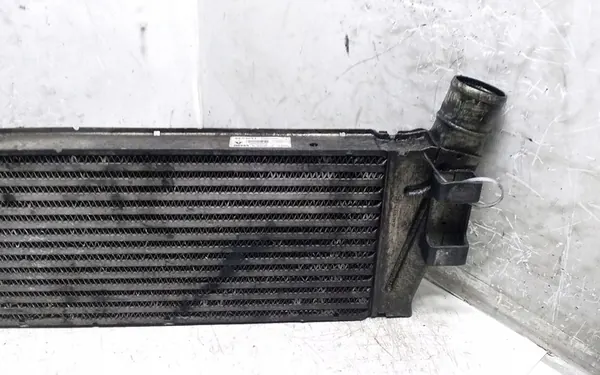 Radiador intercooler RENAULT GRAND SCÉNIC II 1.9L 160131403F image 4