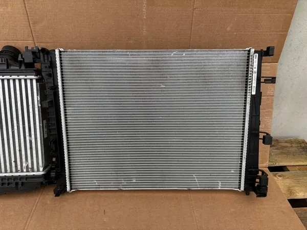 Vattensradiator Dacia Sandero III Stepway 214107347R image 3