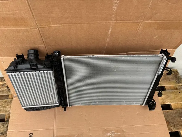Vattensradiator Dacia Sandero III Stepway 214107347R image 6