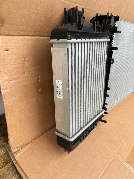 Vattensradiator Dacia Sandero III Stepway 214107347R image 7