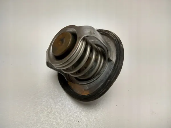 Thermostaat TER-NIS-QAS-J10-BENZ voor Nissan Qashqai image 3