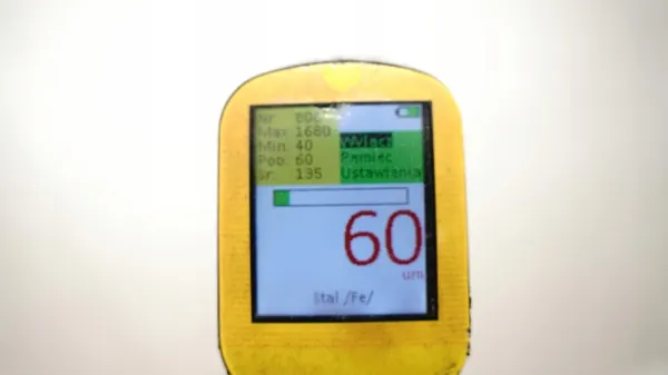 Rechte Hintertür OEM 362999008 für Chrysler Ypsilon image 8
