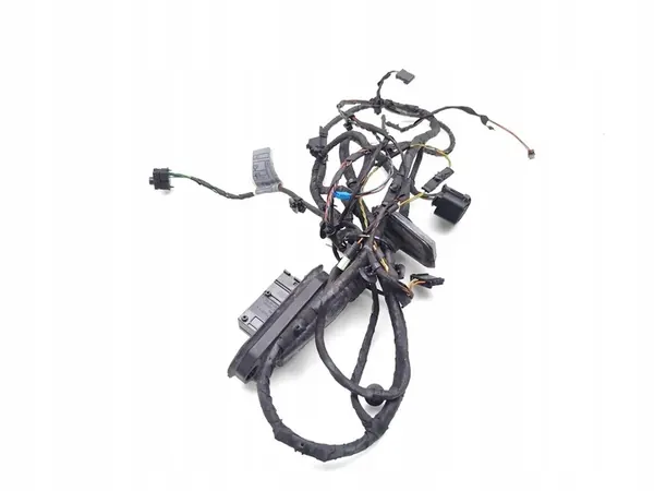 BMW 5 Series Etuoven johdotus 2010 9240882 image 4