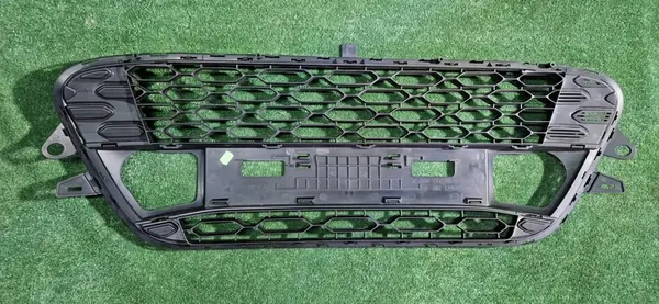 Front Grill Citroen C3 II 7422G4 image 2