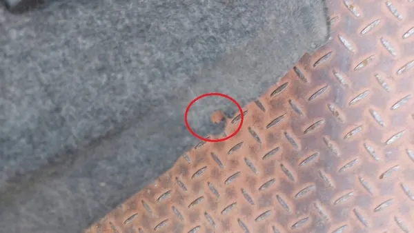 Toyota RAV4 IV Front Right Wheel Arch OEM 53875-42080 image 10