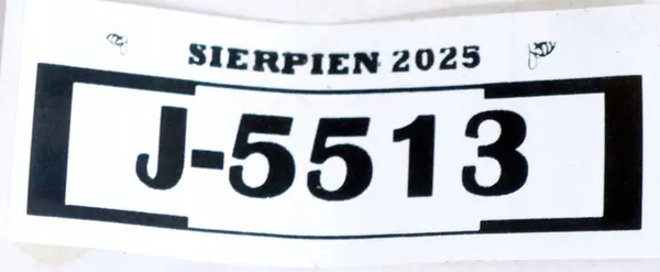 Tesla X Rechterschuif 103421900B image 8