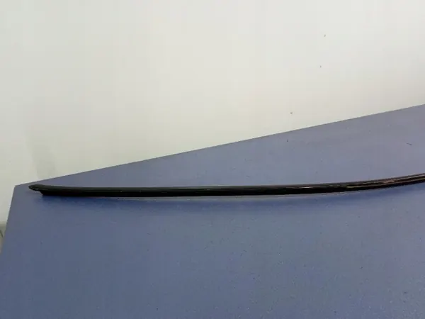 Mercedes AMG GT 4 Puertas Rail Techo Derecho OEM A2906731000 image 8