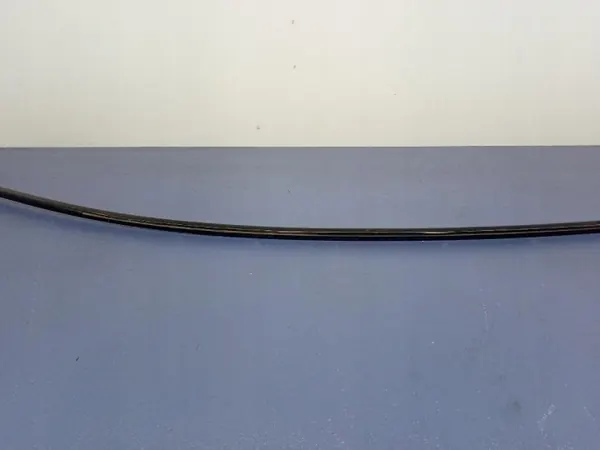 Mercedes AMG GT 4 Puertas Rail Techo Derecho OEM A2906731000 image 9