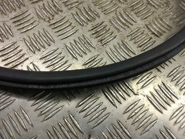 BMW 1 F20 F21 Door Seal image 10