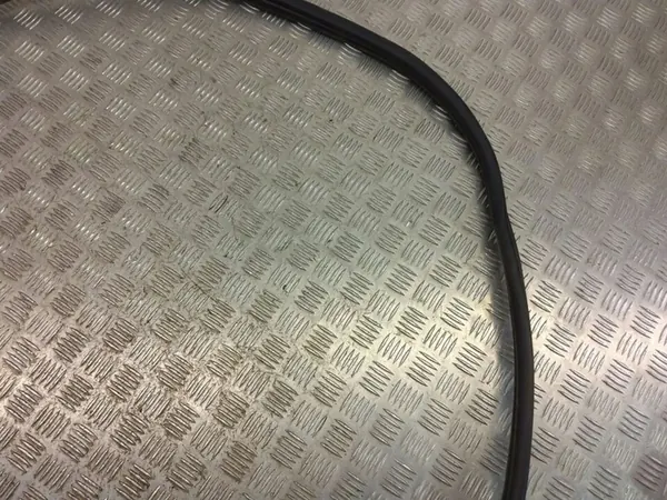 BMW 1 F20 F21 Door Seal image 3