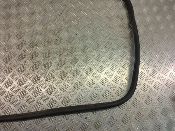 BMW 1 F20 F21 Door Seal image 4