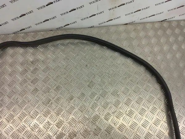 BMW 1 F20 F21 Door Seal image 5