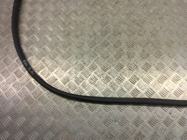 BMW 1 F20 F21 Door Seal image 6