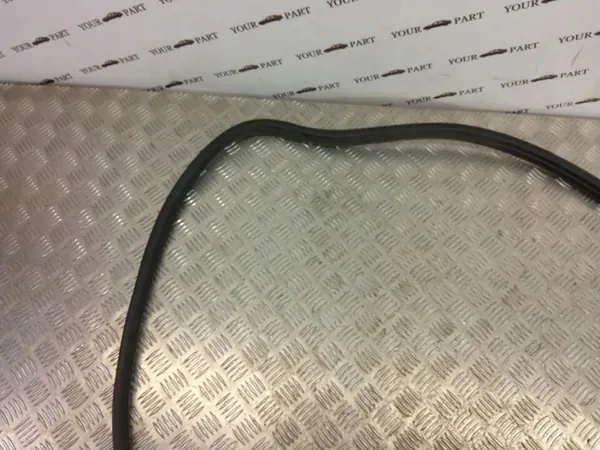 BMW 1 F20 F21 Door Seal image 7