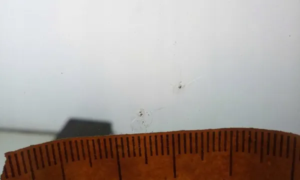 Vindruta OEM 8624AGSCMVZ för Audi TT 2014- image 4