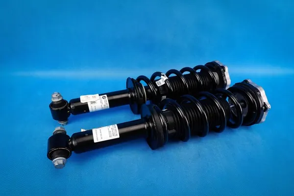 Ammortizzatori posteriori M Sport BMW X3 G01 image 2