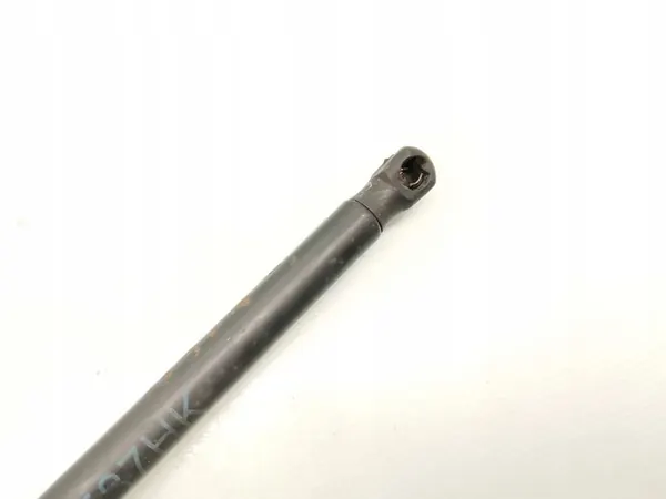 BMW 1 Series Takaluukun Iskunvaimennin 2007 Hatchback 120d OEM image 4