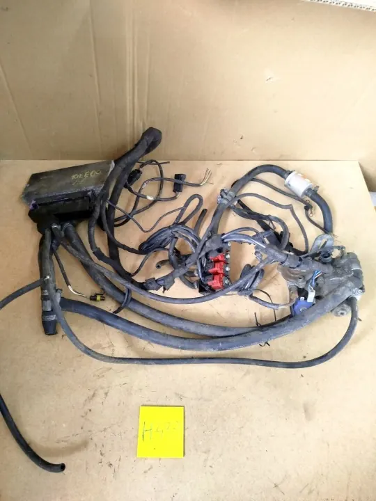 Komplettes LPG-Set STAG-3000-4 - OEM 100 image 2