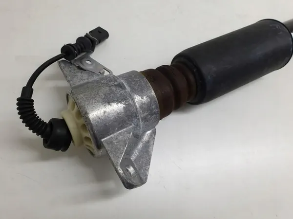 Amortizzatore Posteriore Porsche Macan 95B513035K image 4