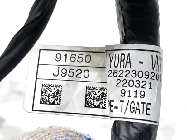 Achterklepbedrading Hyundai Kona 91650-J9520 image 2