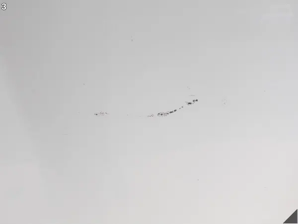 TOYOTA LAND CRUISER IV J150 PRADO MOTORHUVA *HAGELSKADA* OEM image 4