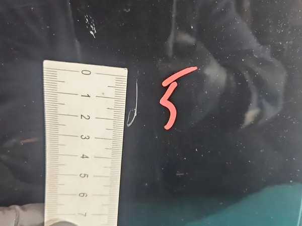 Höger Bakdörr Kia Optima IV 15- Kombi 5D Svart ABP image 7