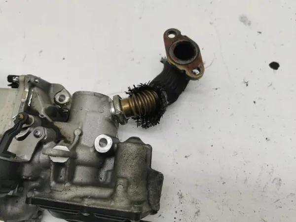 Renault OE V29001603 Gebruikte EGR-koeler image 4