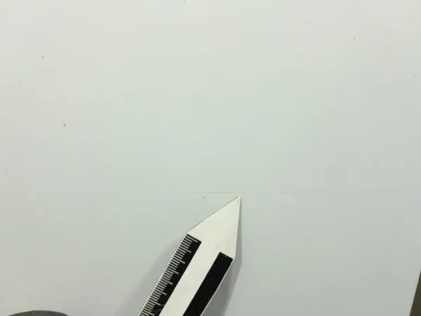 OEM Lochow-298848-01 Voorrechterdeur voor Renault image 3