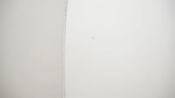 OEM 360202803 Vänster bakdörr för Opel Zafira C image 6