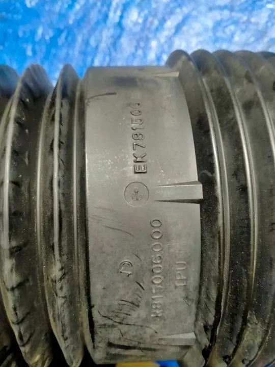 OEM 310126173915 Airmatic Luftfjädring Bak Höger image 7