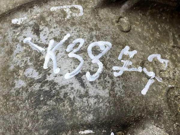 Compressore A/C Peugeot 307 2002 SD5V12 image 6