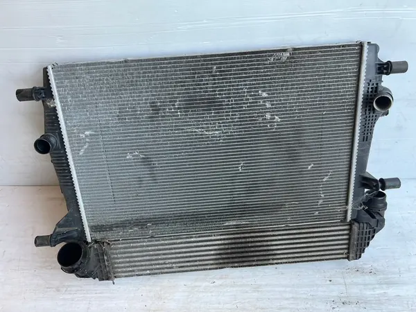 Radiador de agua Renault Scenic III 1.6 DCI image 6