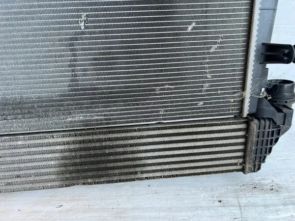 Radiador de agua Renault Scenic III 1.6 DCI image 9