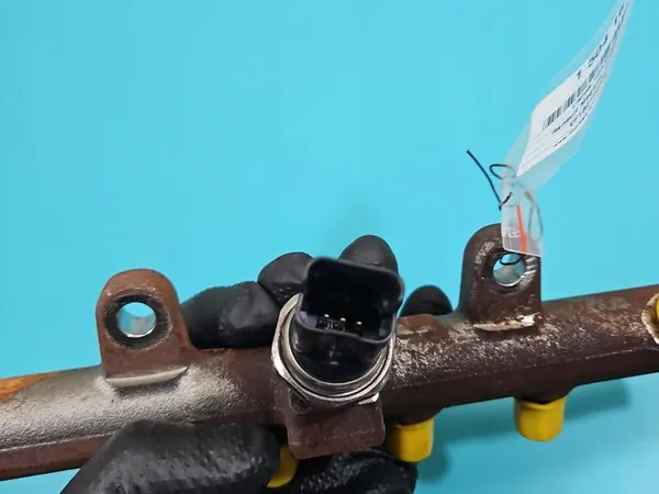 Brandrail Sensor Renault Megane III 1.5 DCI image 6