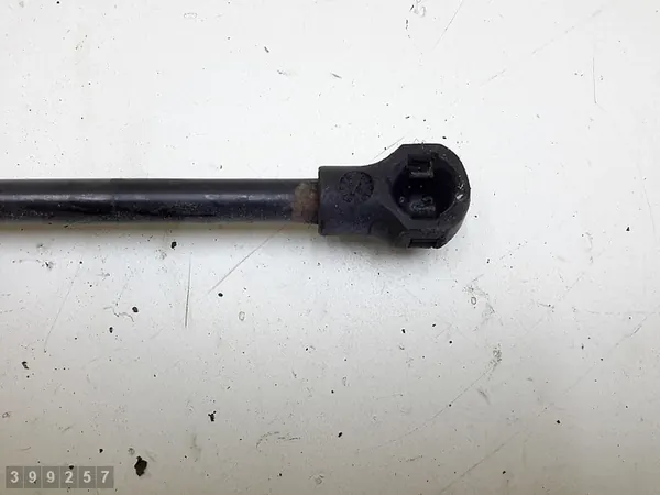 Supports de hayon arrière Peugeot 207 2008 image 2