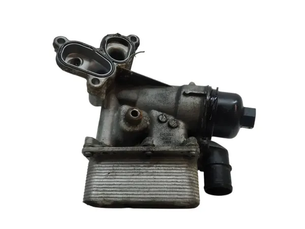 Öljynsuodinkotelo OEM 8200797762 Renault Koleosille image 2
