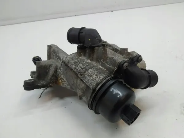 Öljynsuodinkotelo OEM 8200797762 Renault Koleosille image 4