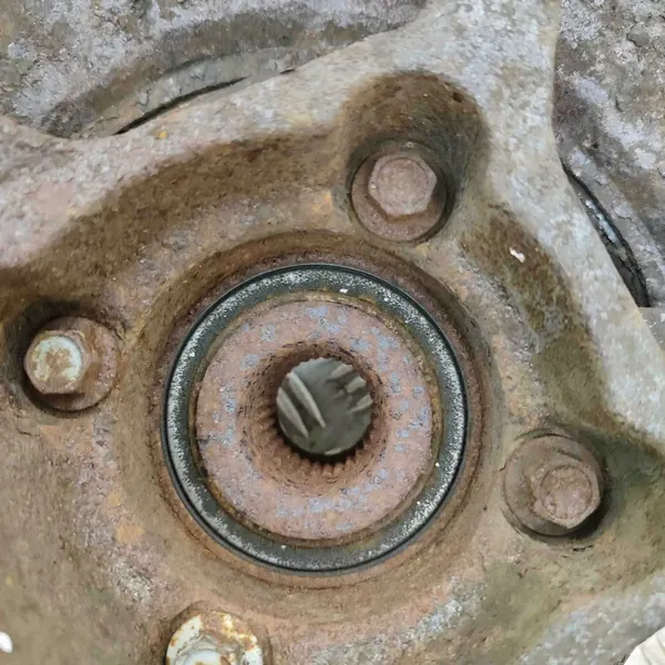 Chevrolet Captiva 2007 Mozzo ruota posteriore sinistro image 6