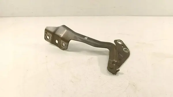 Bisagra derecha capó OEM DS73F16800AB Ford Mondeo V image 4