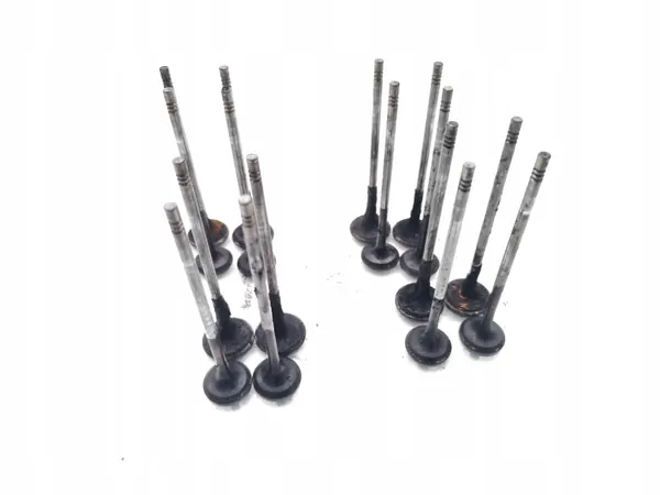 Válvula usada OEM A20DTH para Opel Insignia 2.0 CDTI image 2