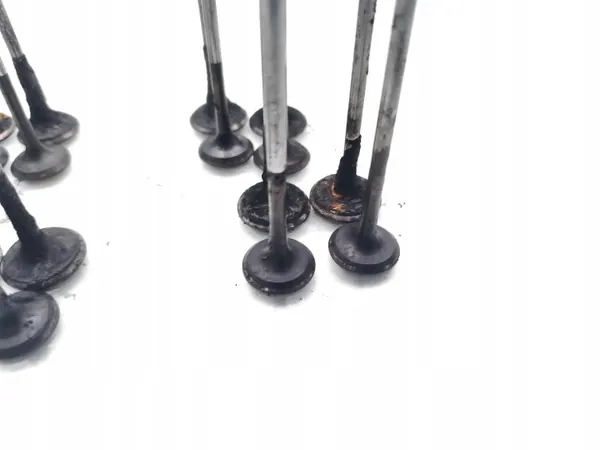 Válvula usada OEM A20DTH para Opel Insignia 2.0 CDTI image 3