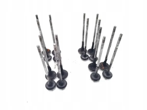 Válvula usada OEM A20DTH para Opel Insignia 2.0 CDTI image 9