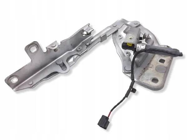 OEM K8D216800A Pistão do Capô Direito para Range Rover Evoque image 4
