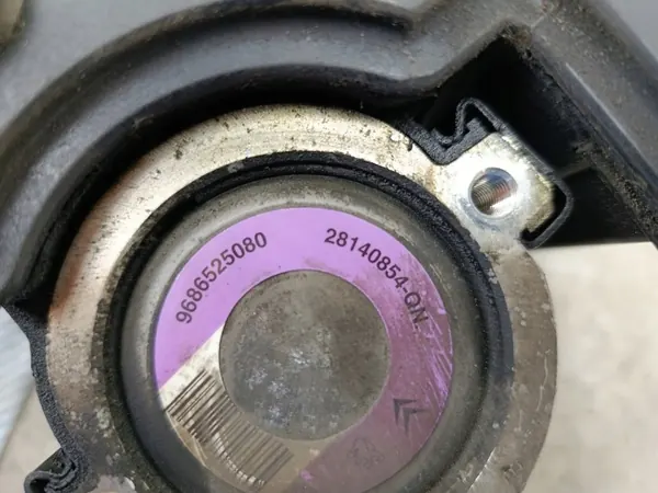 Bomba dirección asistida Peugeot 206 Plus 9686525080 image 2