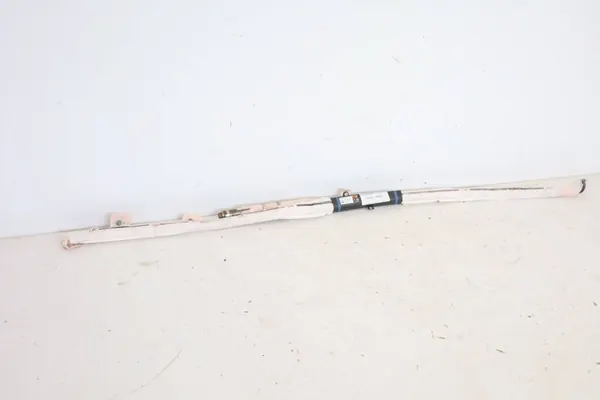 Linke Airbagvorhang TESLA MODEL S 100526100D image 2