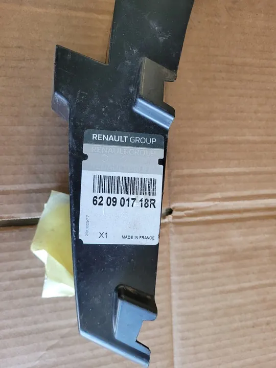 Etupuskuri Iskunvaimennin Renault 620901718R image 2