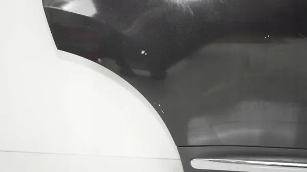 Puerta trasera derecha OEM 360197031 Nissan Qashqai J10 image 4