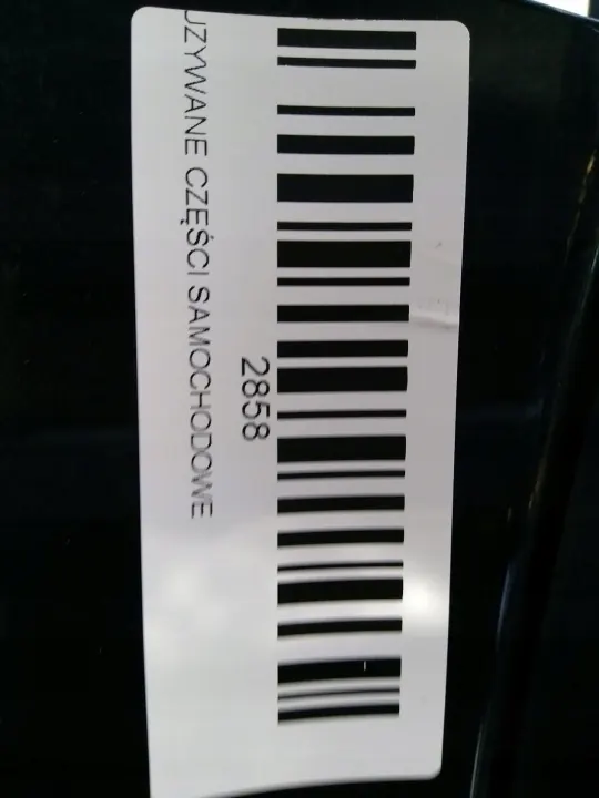 Puerta trasera derecha OEM 360197031 Nissan Qashqai J10 image 7