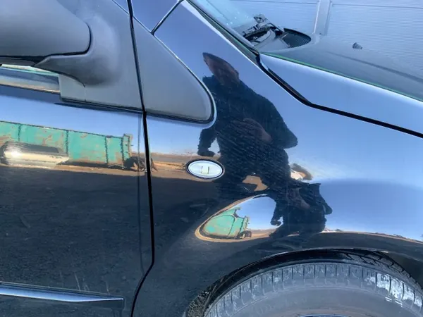 CITROEN C2 BŁOTNIK PRAWY PRZEDNI PRZÓD EXYB - Rechter Voorbumper image 3